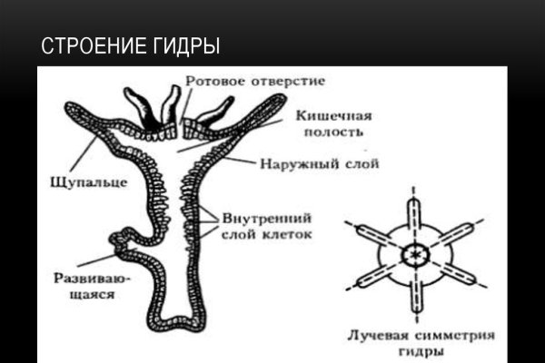 Кракен даркнет только через торг