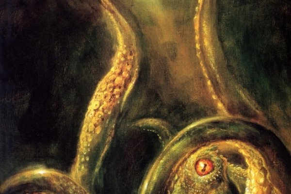 Kraken рабочий